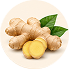 Ginger
